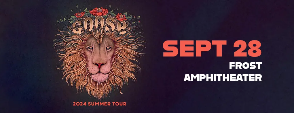 Goose at Frost Amphitheater